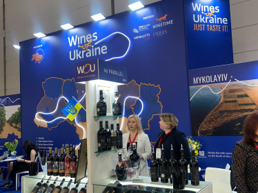 З української лози – у світ. Еволюція українського виноробства /Фото 2