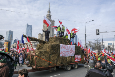 фермери Польща протест /Getty Images