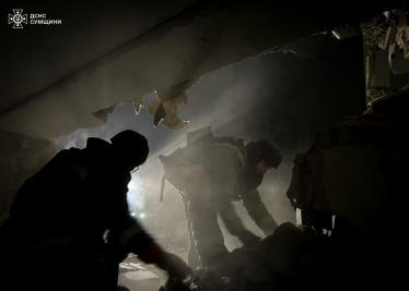 ДСНС України