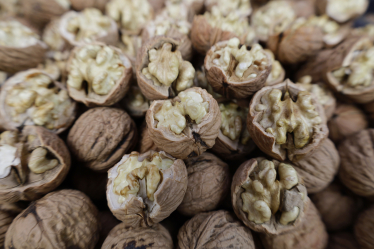 Україна №4 у світі за виробництвом волоського горіха. Чи є куди рости? Дослідження KSE /Фото 1