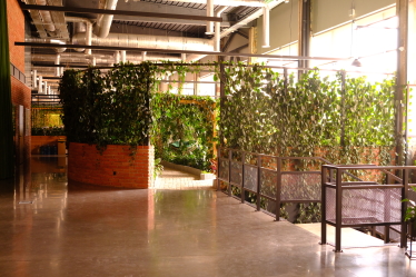 Основатели IT-компании Jooble считали, что в офисе работать эффективнее. Карантин доказал обратное. Как теперь они внедряют режим remote first /Фото 16