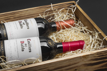 Вина, які створюють легенди: історія чилійських вин Casillero del Diablo /Фото 3