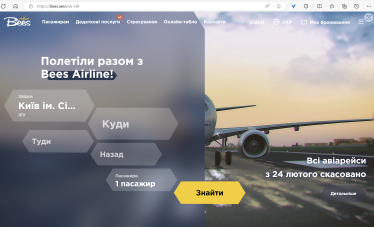 У Румунії запускають авіакомпанію Bees Airlines. Її назва відрізняється від української однією літерою /Фото 2