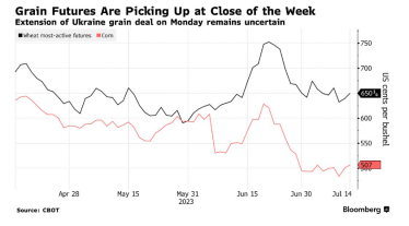 Пшениця і кукурудза дорожчають на тлі невизначеності щодо продовження «зернової угоди» /Фото 1