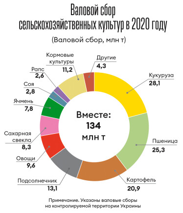 Инфографика Леонид Лукашенко