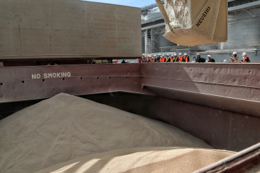 «Успеть, чтобы не переплатить в 2024-м». Цены и спрос на землю растут, несмотря на войну. Почему и сколько на этом можно заработать /Фото 2