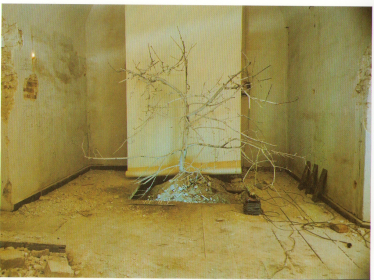 Анатоль Степаненко, 1993. Дерево. Інсталяція, створена спеціально для заданого простору (site-specific) для акції «Києво-Могилянська академія». Джерело фото: archive.pinchukartcentre