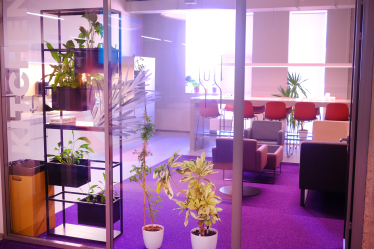 Офіс для тих, хто не хоче працювати в офісі. SoftServe відкрила новий простір у розпал пандемії. Що з цього вийшло /Фото 50