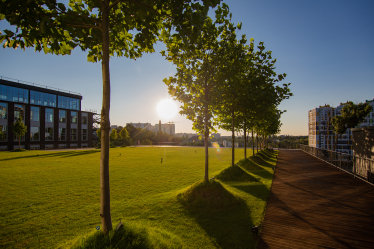 Архітектура довіри: як функціональний офіс перетворюється на інструмент залучення команди. Кейс Forum Group /Фото 3