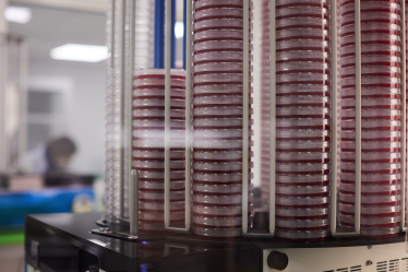 Собственное производство у «Санимед-М» появилось вовремя – накануне пандемии COVID-19