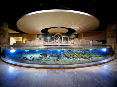 Bosphorus Development: як провідний турецький девелопер виходить на український ринок нерухомості /Фото 3