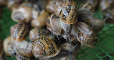 Конкурс #Варто «РобиТИ Своє»