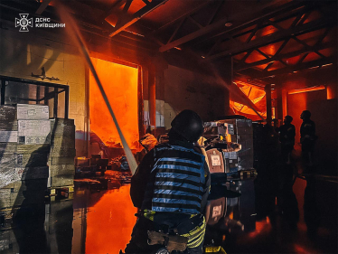 ДСНС України