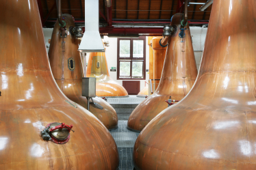 Ласкаво просимо у Шотландію: як правильно обрати справжнє односолодове віскі? /Фото 4