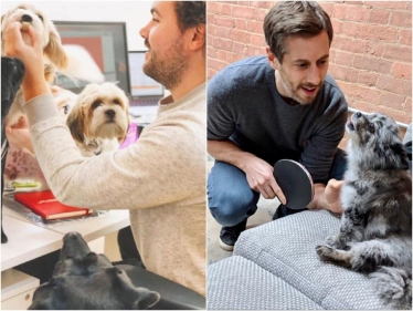 Бывшие маркетологи придумали, как продавать БАДы для домашних животных. Их компанию уже оценивают в $50 млн /Фото 1