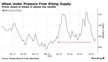 Росія заявила про атаку на військово-морську базу Новоросійська. Внаслідок блокування порту ціни на пшеницю підскочили /Фото 1