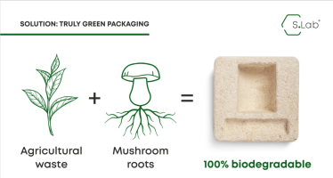 Как построить бизнес с оценкой €3,5 млн на грибах и конопле и договориться о сотрудничестве с LʼOreal. Интервью с СЭО и кофаундеркой стартапа S.Lab /Фото 1