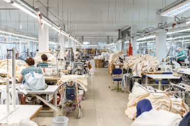 Украинский бренд парок DASTI пережил локдауны и аномально теплую зиму, не потеряв ни гривны. В чем секрет выживания /Фото 1