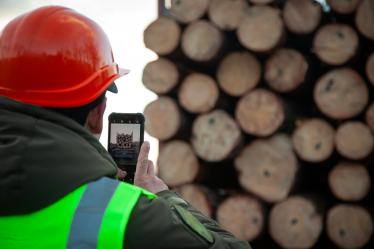 ДП «Ліси України»