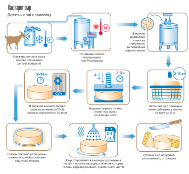 Инфографика Леонид Лукашенко