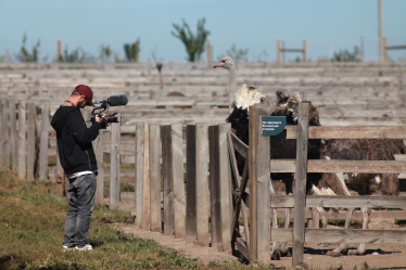 «Мы, наши любимцы и война», Антон Птушкин