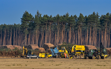 Німецьке «бюрократичне пекло». Чому Ілон Маск не може швидко побудувати новий завод Tesla у Берліні /Фото 1