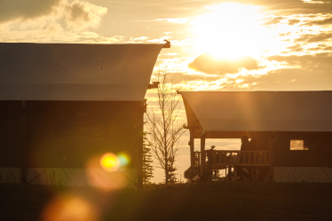Експорт на виживання. Як українському виробнику переорієнтуватися на іноземні ринки. Кейс Glamping UA /Фото 8