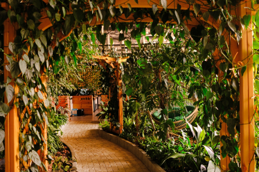 Основатели IT-компании Jooble считали, что в офисе работать эффективнее. Карантин доказал обратное. Как теперь они внедряют режим remote first /Фото 14