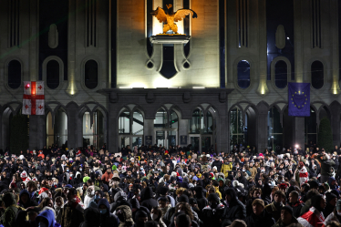 Грузия протесты /Getty Images