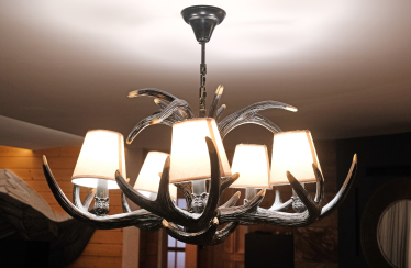 Загородный дом (почти) без дверей, с каминами и мебелью необычных форм. Как выглядит дом семьи львовских предпринимателей Лидии и Всеволода Биласов /Фото 13