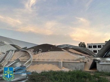 Росія вночі атакувала дронами Київщину та Одещину, пошкоджено морвокзал Ізмаїла, елеватор і зернові ангари (фото) /Фото 2