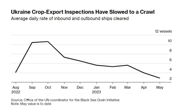 Объемы поставок из Украины упали на четверть из-за сбоев в «зерновом коридоре» в апреле и продолжили сокращаться – ООН /Фото 1