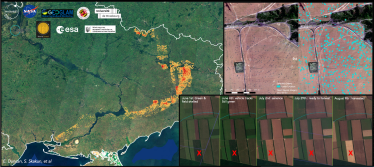Дыра в мировой статистике на 8 млн т. NASA Harvest оценила урожай на оккупированных украинских территориях /Фото 2