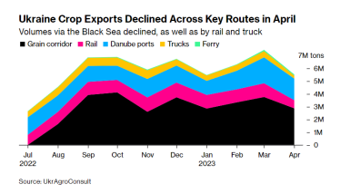 Объемы поставок из Украины упали на четверть из-за сбоев в «зерновом коридоре» в апреле и продолжили сокращаться – ООН /Фото 2