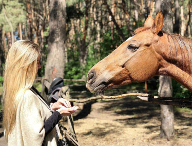 goodzonehotel.com.ua