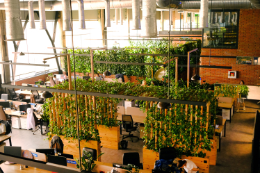 Вісім українських компаній, які перетворили офіс на інструмент мотивації працівників. Вибір Forbes /Фото 2