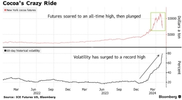 Ціни какао обвалилися майже 30% протягом тижня. Це стало найбільшим відкатом з 1959 року /Фото 1