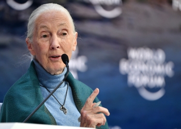 Джейн Гудолл, приматолог и антрополог. /Getty Images