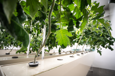 «Ліки для рослин»: як виробник ЗЗР і мікродобрив Ukravit зростає і підтримує аграріїв під час війни. Інтерв’ю засновника компанії Віталія Ільченка /Фото 1