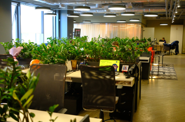 Диджитал-команда Альфа-Банка Украина работает в «13-комнатной квартире». Зачем в компании создали такой формат офиса /Фото 14