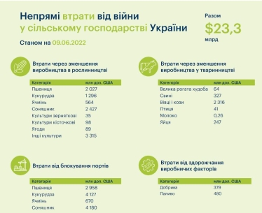 Непрямі втрати у сільському господарстві внаслідок війни досягли $23,3 млрд – KSE /Фото 1