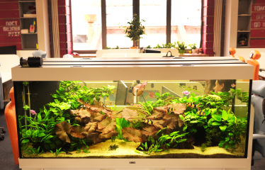 Как смешать «экстравертные» и «интровертные» отделы в одном офисе? Медиакомпания AIR Media-Tech, кажется, нашла решение. Что у нее получилось /Фото 18