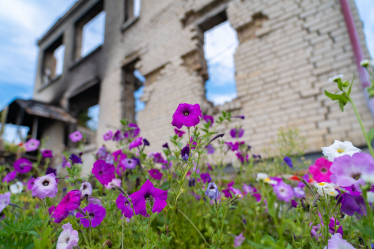 Coca-Cola відбудує зруйнований дитсадок на Київщині /Фото 5