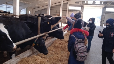 Сири з «Юпітера»