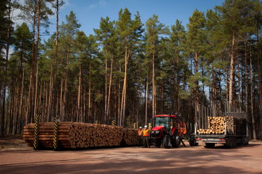 ДП «Ліси України»
