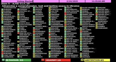 Генасамблея ООН підтримала резолюцію України щодо річниці вторгнення. США та РФ голосували проти /Фото 1