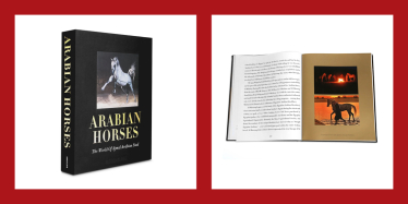 День Святого Валентина: топ-20 ідей подарунків для неї та для нього /Фото 11