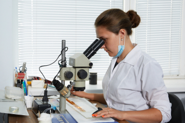 Далі – космос. Як харківська LTU Enterprise виробляє мікроелектроніку для великого адронного колайдеру /Фото 2