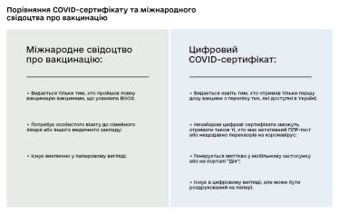 Внутренние и международные COVID-документы. Где получить и чем отличаются /Фото 3