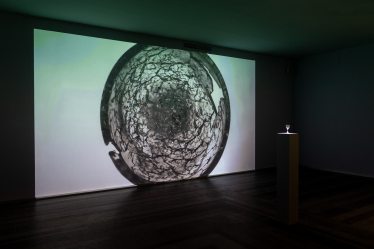 Робота: Михайло Алексеєнко